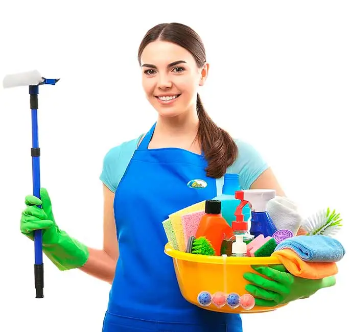 House Cleaning Companies